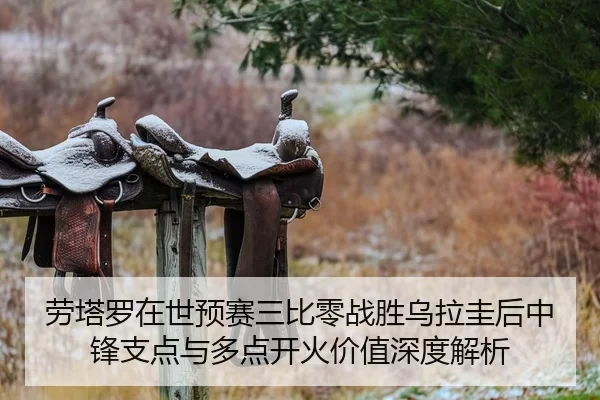 劳塔罗在世预赛三比零战胜乌拉圭后中锋支点与多点开火价值深度解析